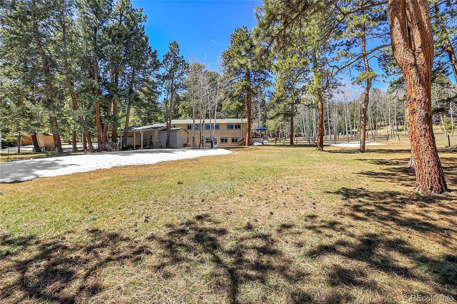 MLS Image #38 for 7834  native dancer trail,evergreen, Colorado