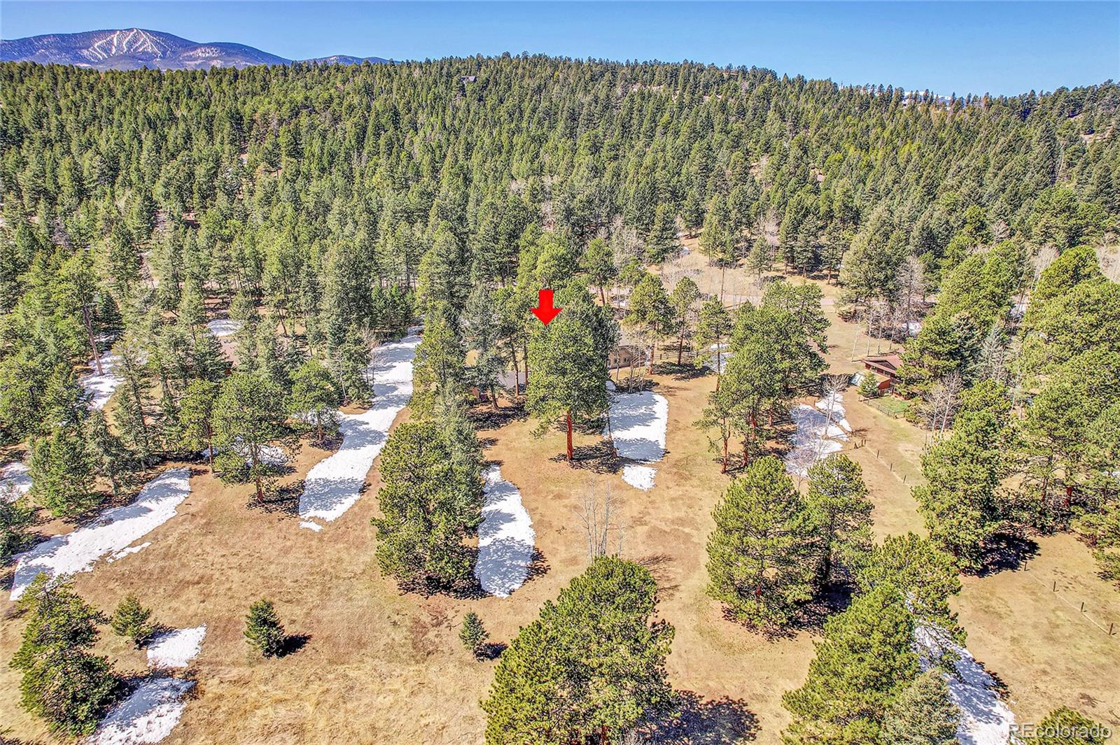 MLS Image #43 for 7834  native dancer trail,evergreen, Colorado