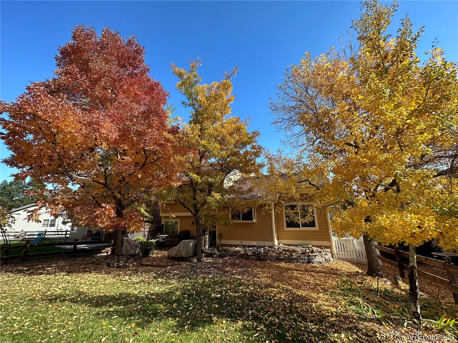 MLS Image #29 for 5  bellflower ,littleton, Colorado