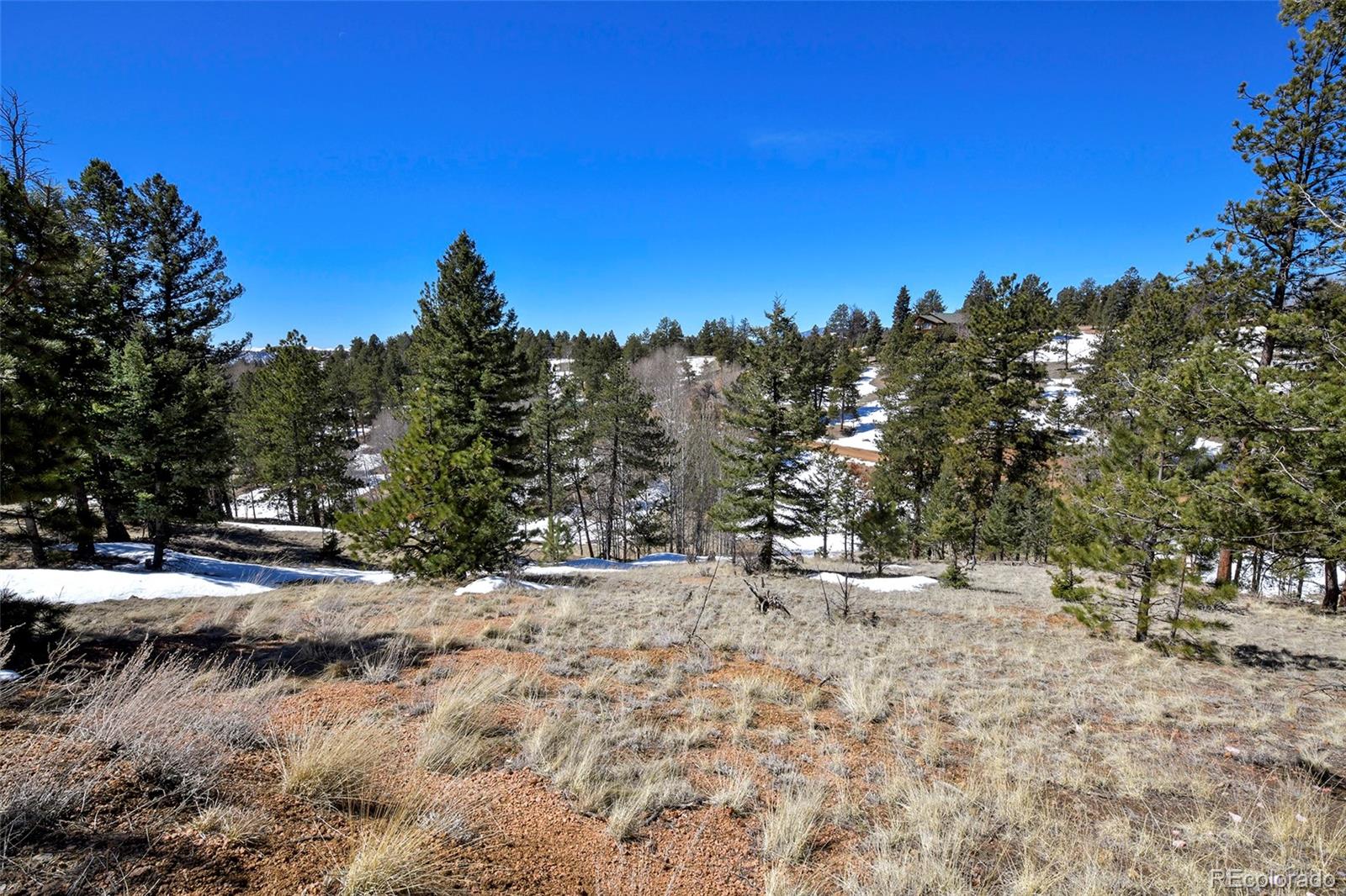 MLS Image #17 for 221  kenosha way,florissant, Colorado