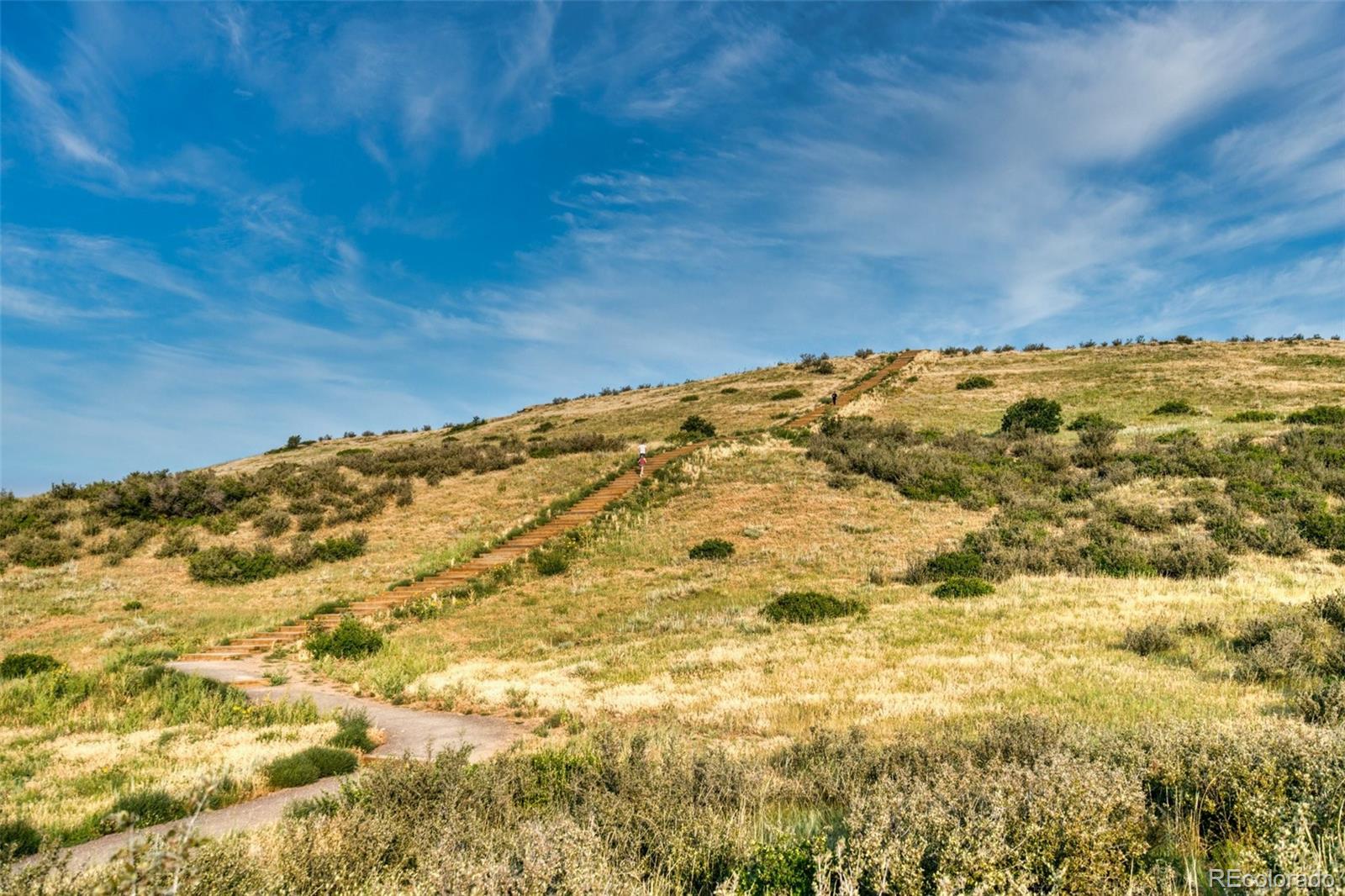 MLS Image #44 for 14584  haflinger avenue,parker, Colorado