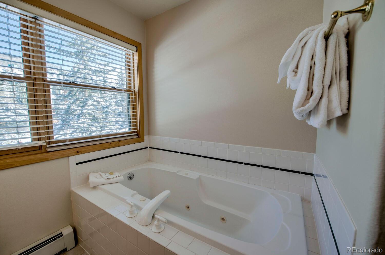 MLS Image #18 for 32  norse lane 3,keystone, Colorado