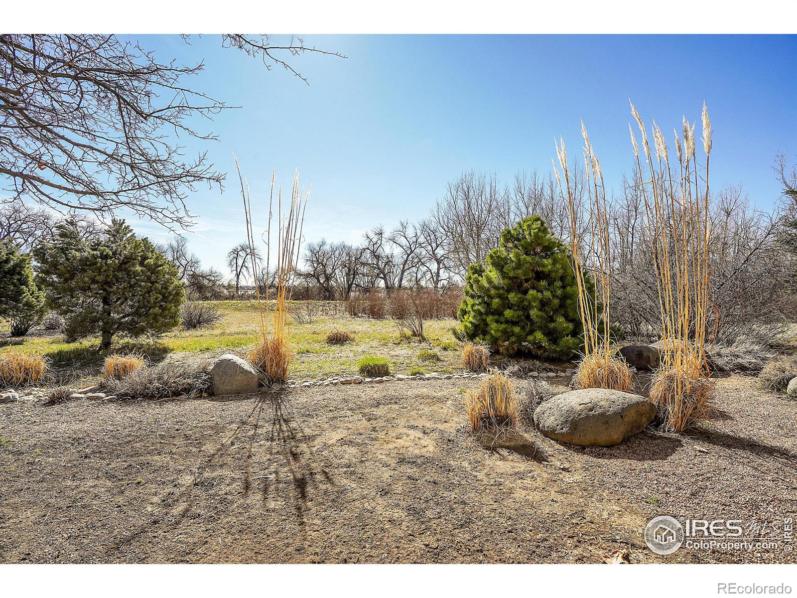 MLS Image #28 for 175  salina street,lafayette, Colorado