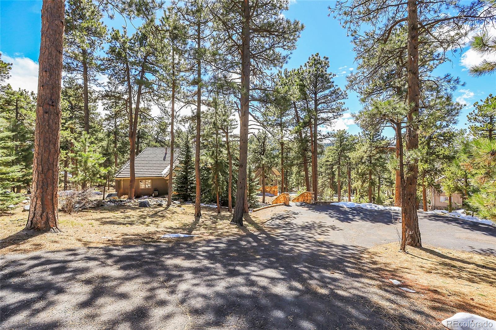 MLS Image #21 for 7116  timbers drive,evergreen, Colorado