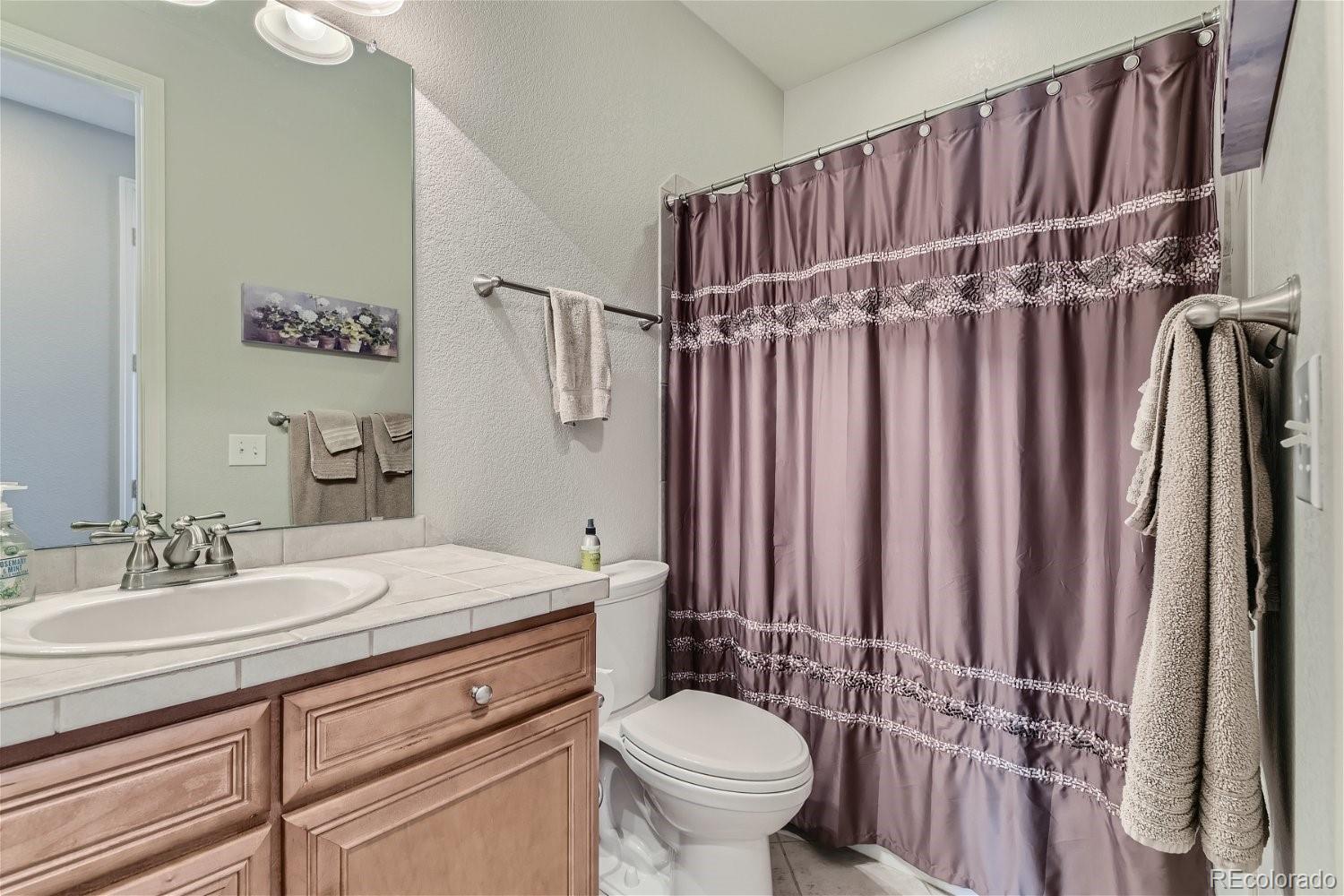 MLS Image #19 for 8019  grady circle,castle rock, Colorado