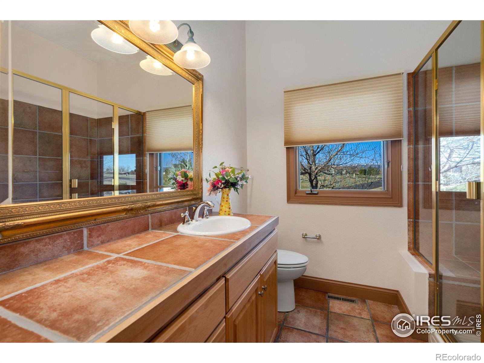 MLS Image #19 for 4020  eagle ,fort collins, Colorado