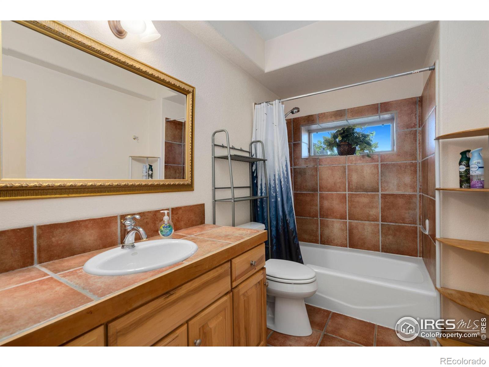 MLS Image #28 for 4020  eagle ,fort collins, Colorado