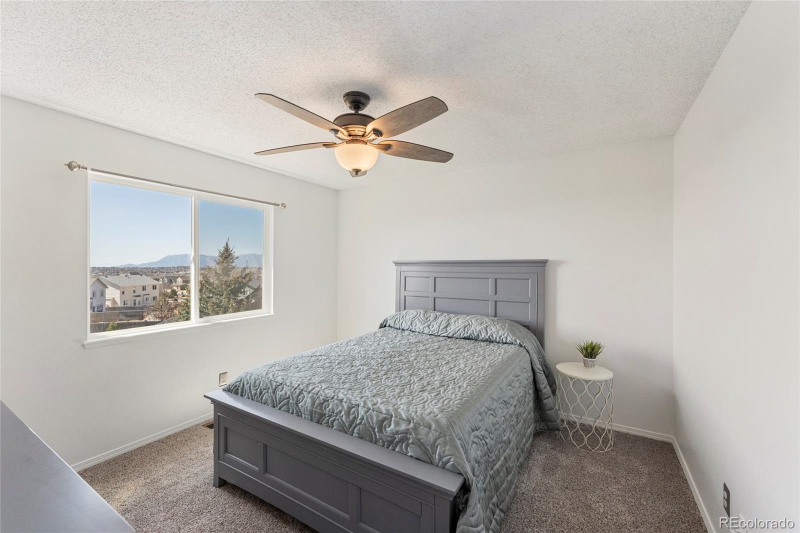 MLS Image #16 for 7937  ultra drive,colorado springs, Colorado