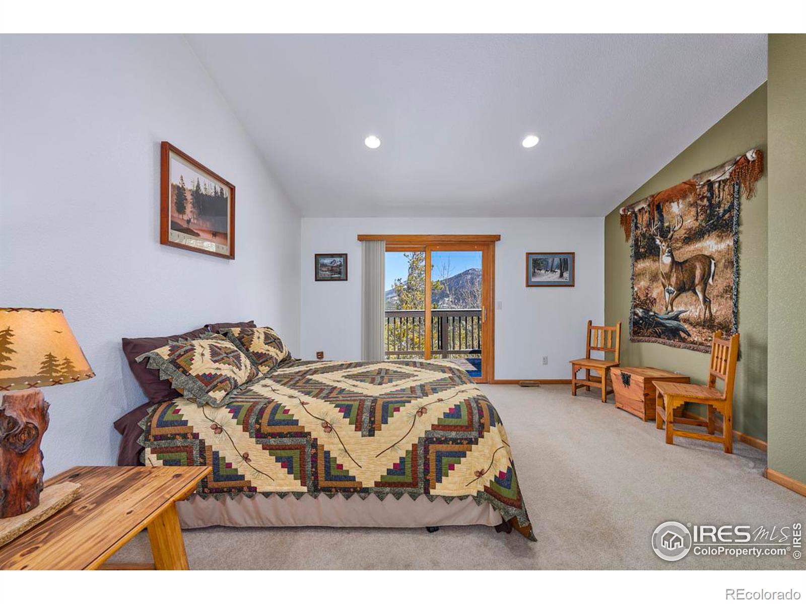 MLS Image #13 for 702  highpoint circle,black hawk, Colorado