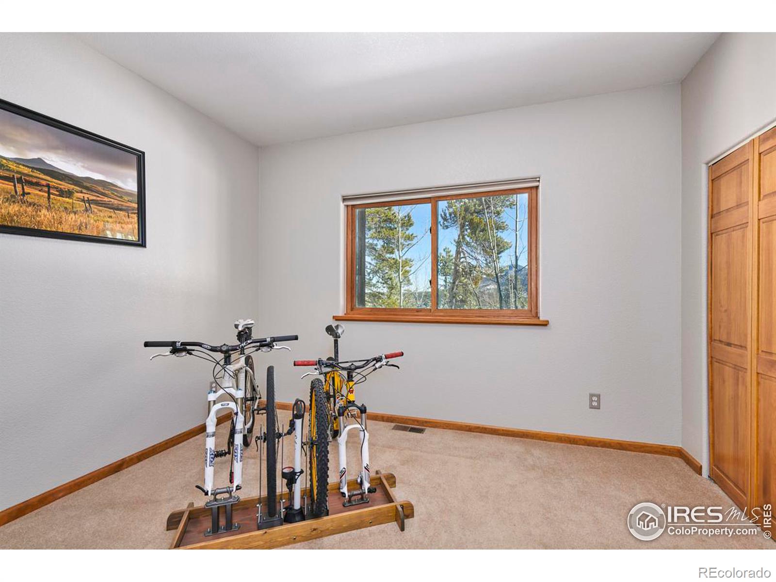 MLS Image #22 for 702  highpoint circle,black hawk, Colorado