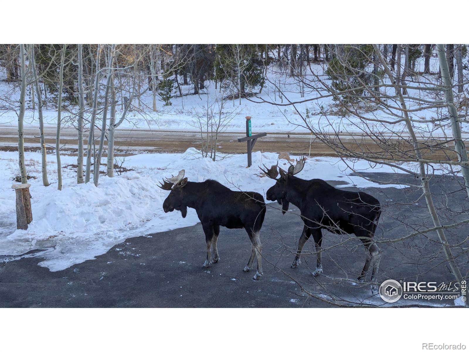 MLS Image #31 for 702  highpoint circle,black hawk, Colorado