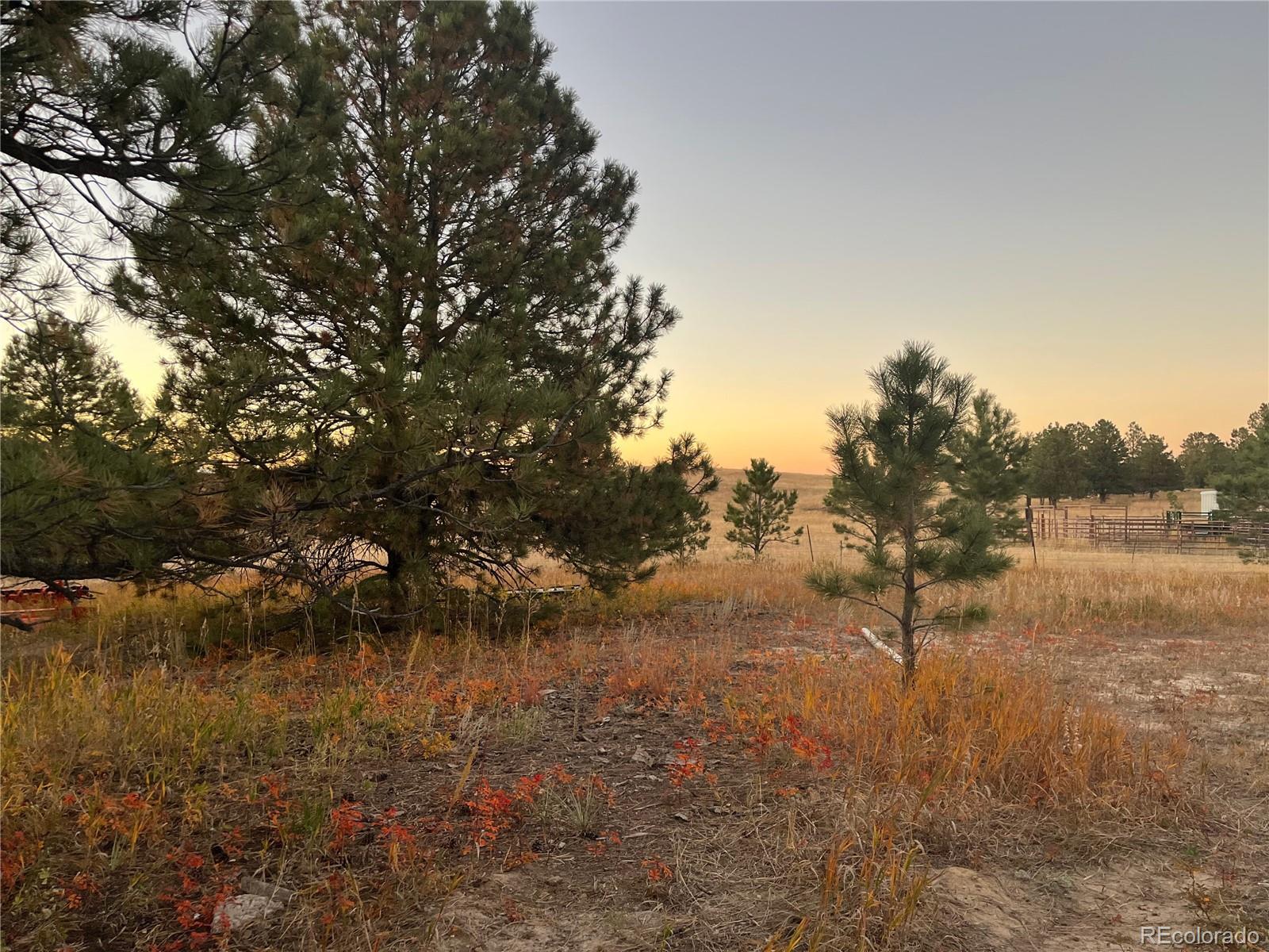 MLS Image #30 for 12221  county road 118 ,kiowa, Colorado