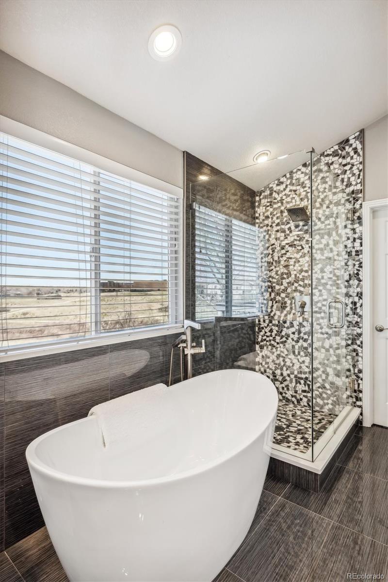 MLS Image #29 for 4773  whitehall lane,highlands ranch, Colorado