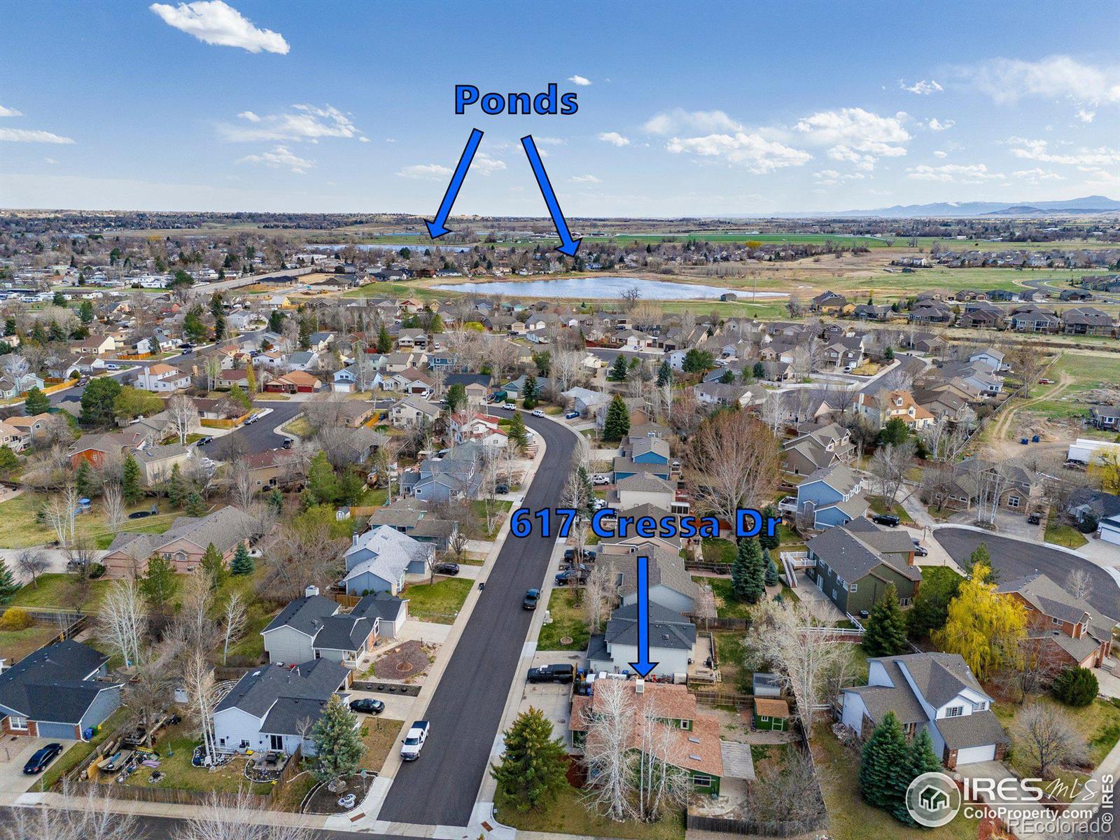 MLS Image #29 for 617  cressa drive,loveland, Colorado