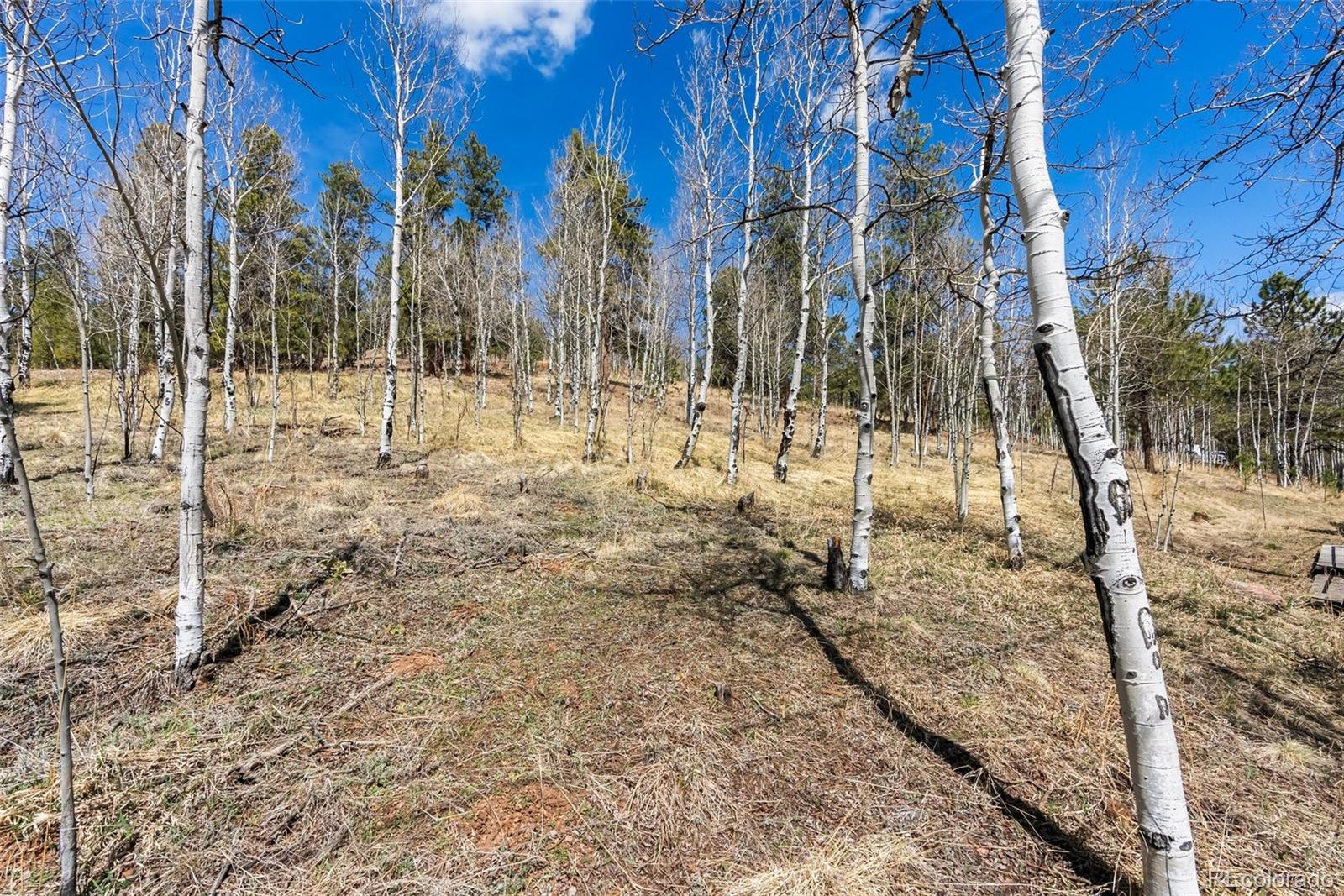 MLS Image #31 for 34355  rock creek road,pine, Colorado