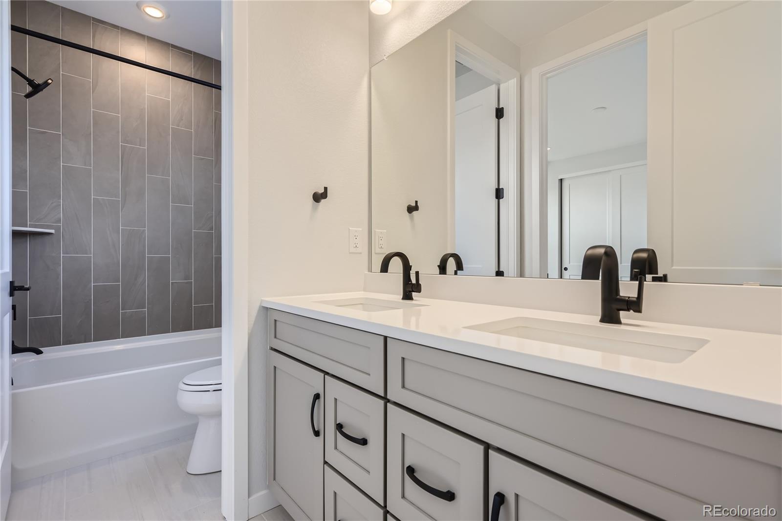 MLS Image #19 for 11076  star fall street,littleton, Colorado