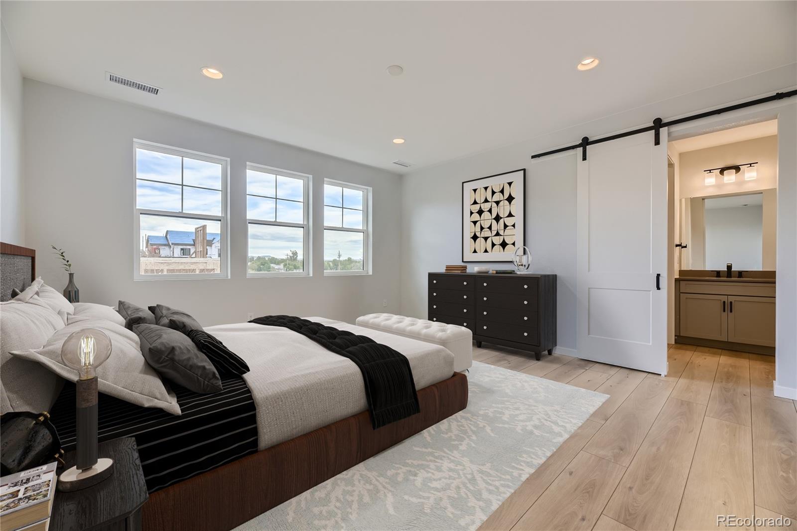 MLS Image #20 for 11076  star fall street,littleton, Colorado