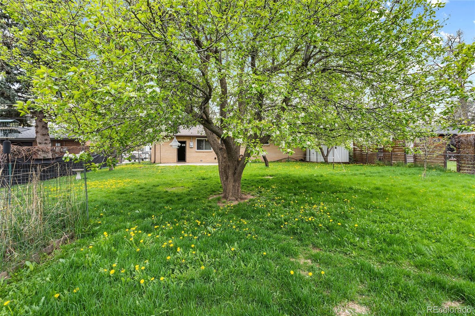 MLS Image #6 for 1971  evergreen avenue,boulder, Colorado