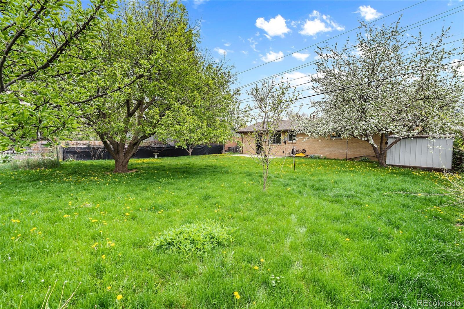 MLS Image #7 for 1971  evergreen avenue,boulder, Colorado