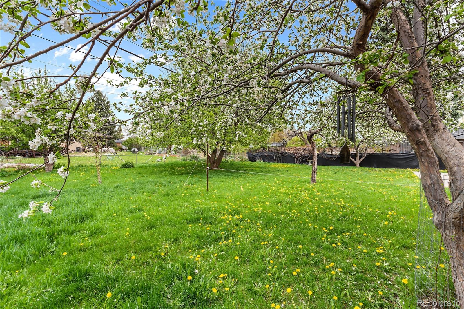 MLS Image #9 for 1971  evergreen avenue,boulder, Colorado