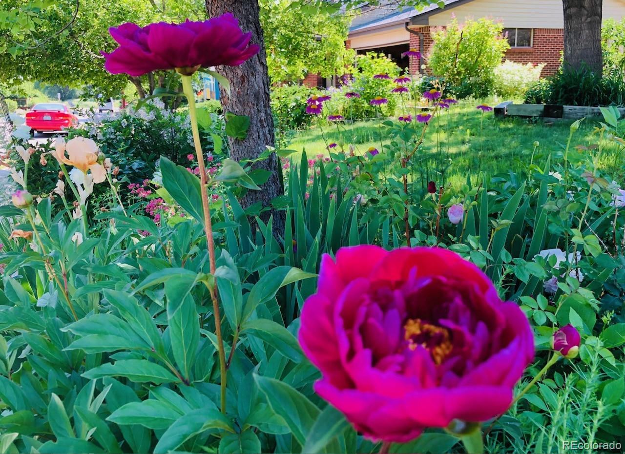 MLS Image #29 for 1042  albion road,boulder, Colorado