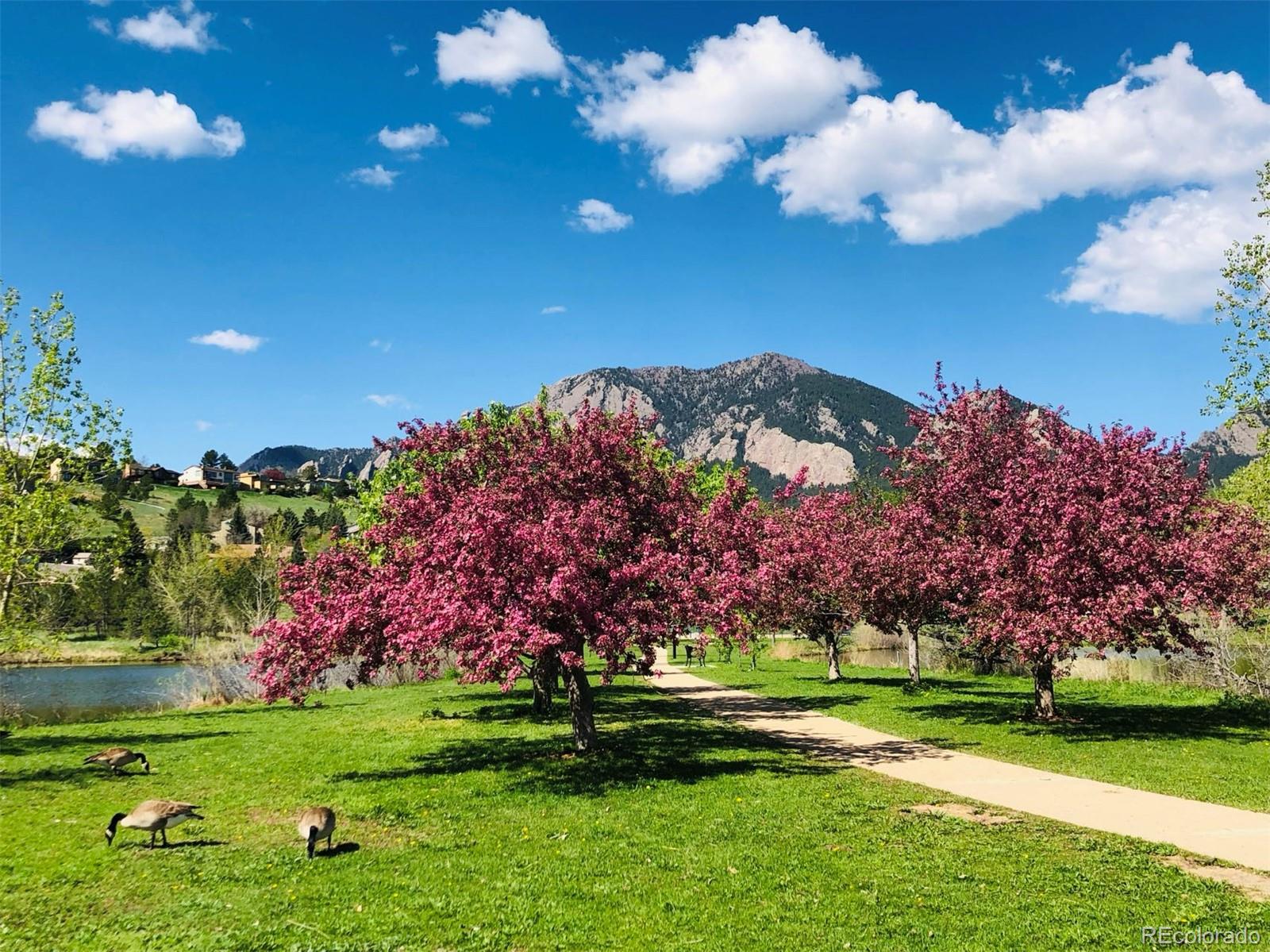 MLS Image #32 for 1042  albion road,boulder, Colorado