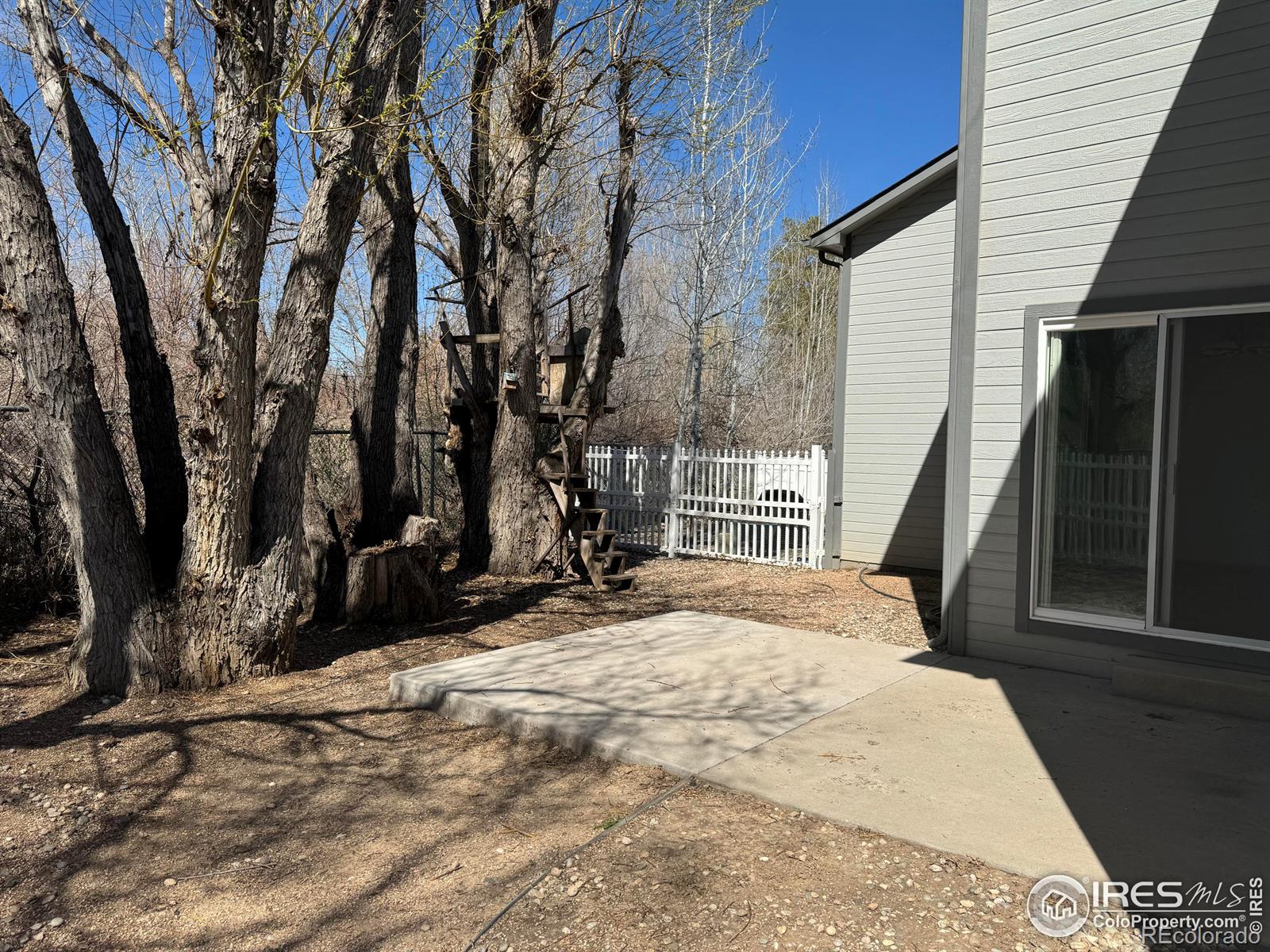 MLS Image #17 for 2296  lily drive,loveland, Colorado