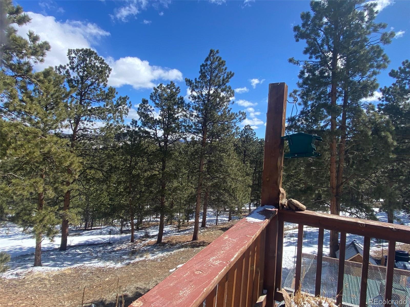 MLS Image #19 for 174  sugarloaf circle ,silver cliff, Colorado