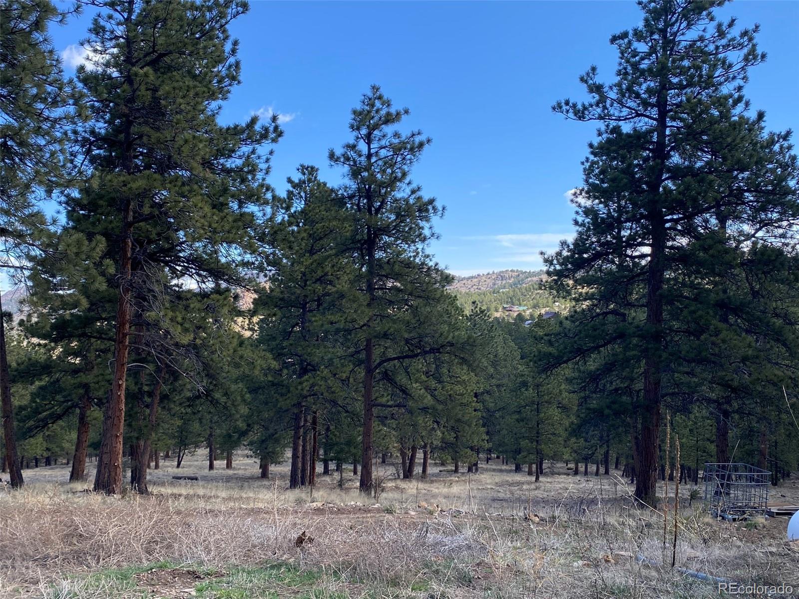 MLS Image #26 for 174  sugarloaf circle ,silver cliff, Colorado