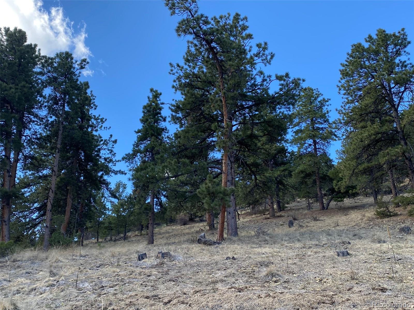 MLS Image #27 for 174  sugarloaf circle ,silver cliff, Colorado
