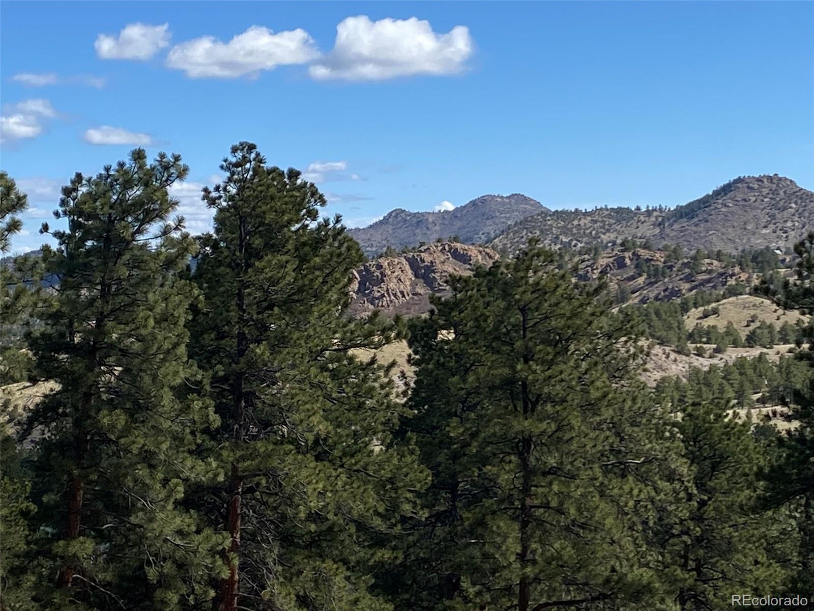 MLS Image #29 for 174  sugarloaf circle ,silver cliff, Colorado