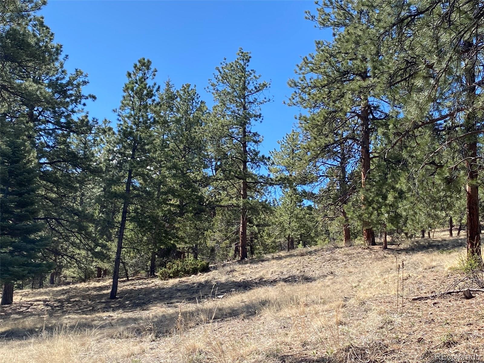 MLS Image #31 for 174  sugarloaf circle ,silver cliff, Colorado
