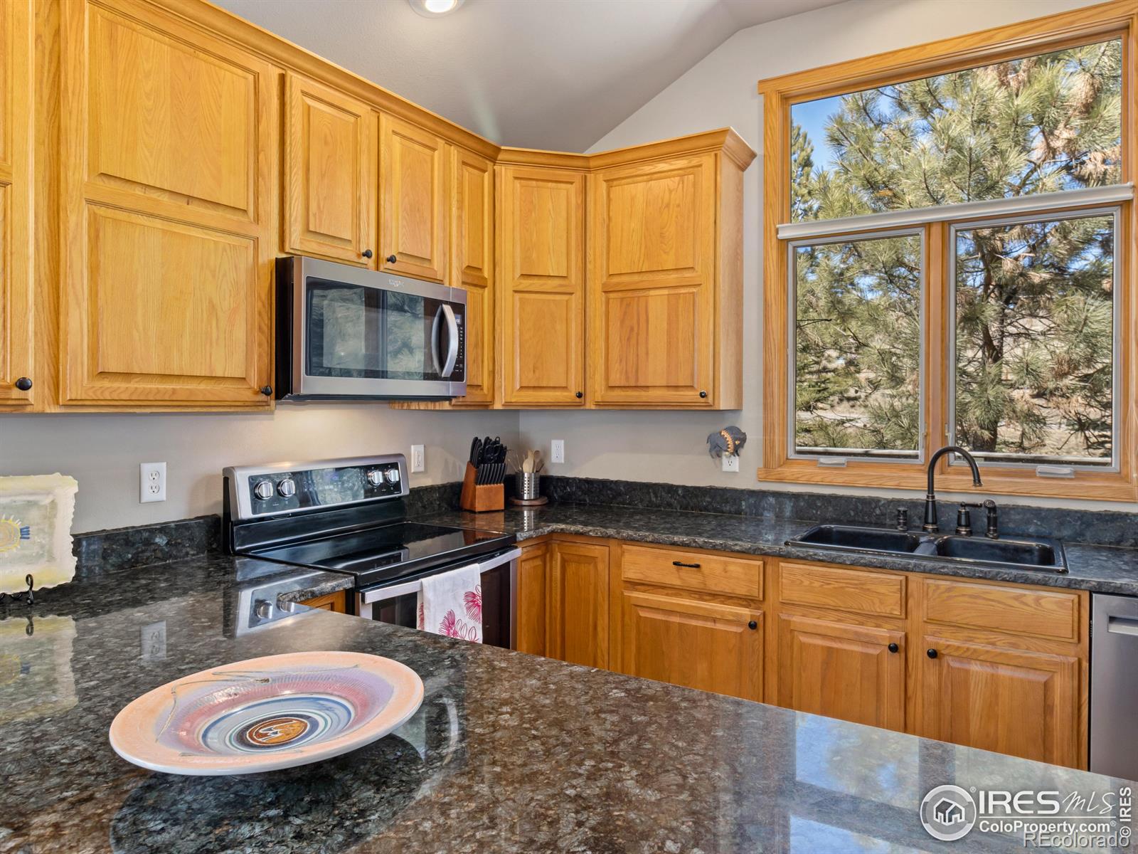 MLS Image #10 for 603  park river place,estes park, Colorado