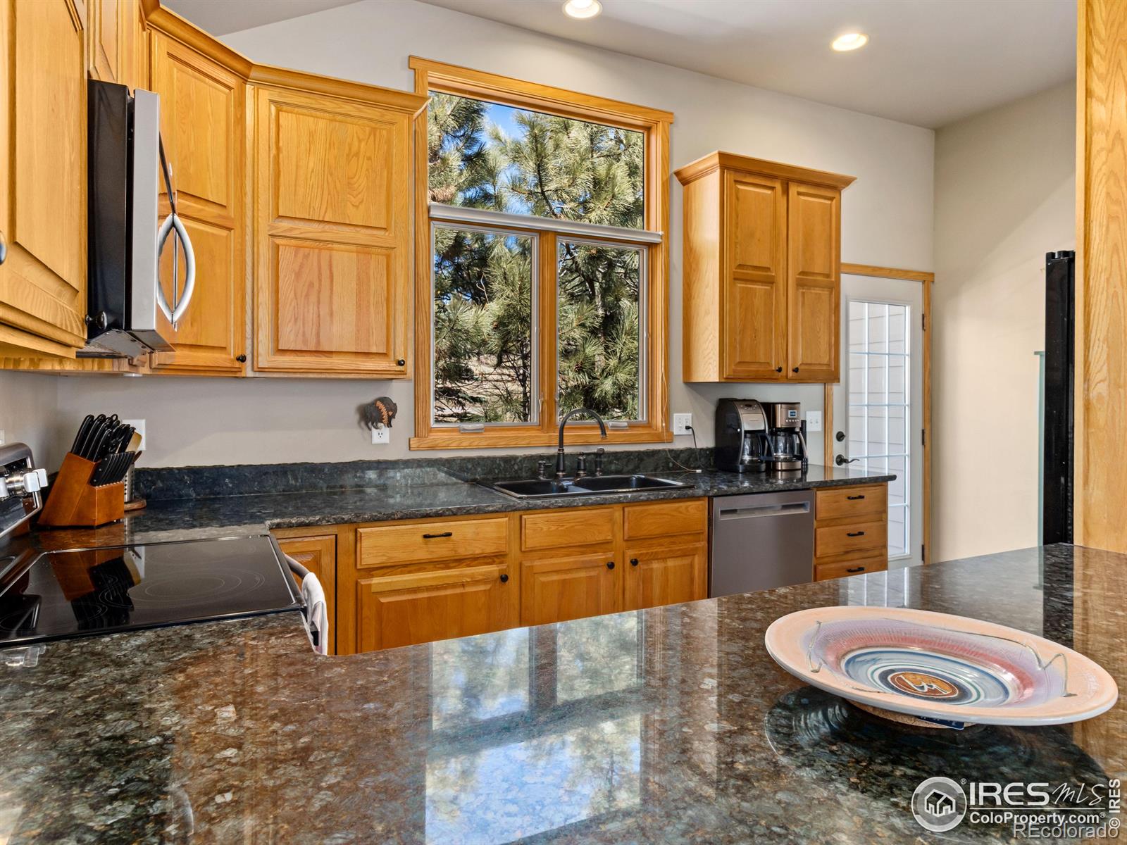 MLS Image #11 for 603  park river place,estes park, Colorado