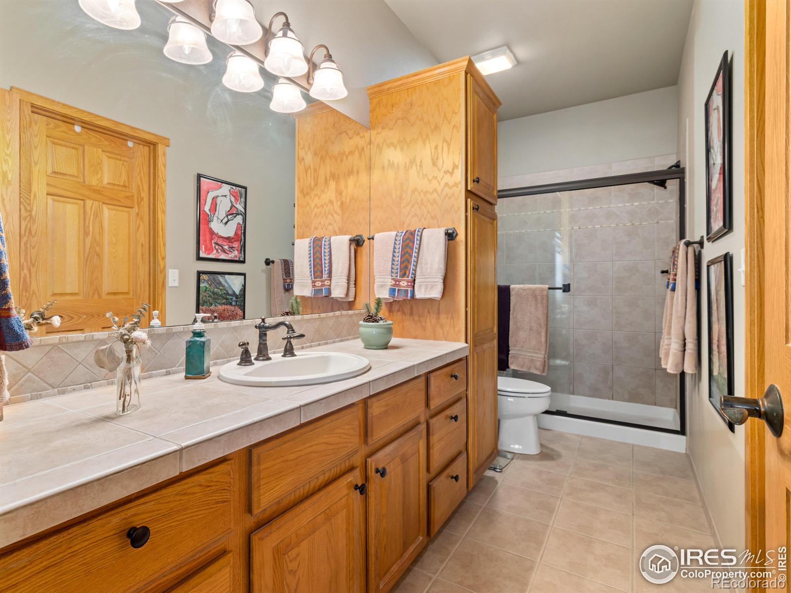 MLS Image #16 for 603  park river place,estes park, Colorado