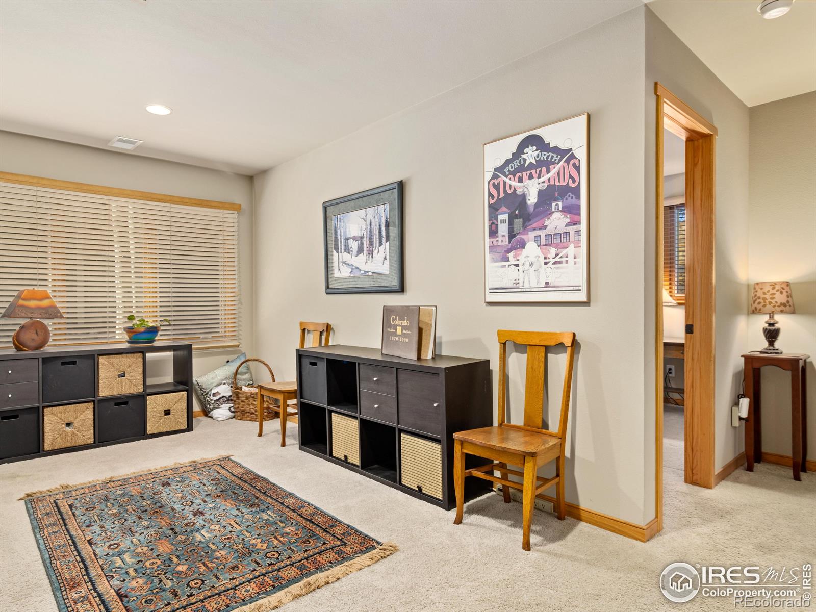 MLS Image #19 for 603  park river place,estes park, Colorado