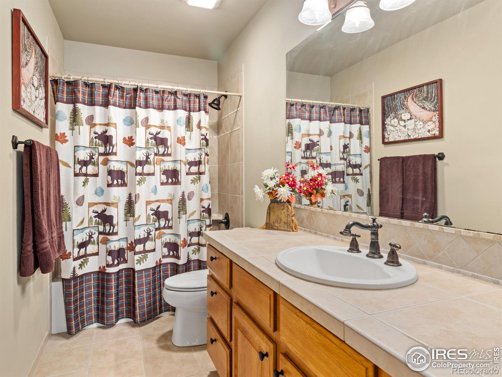 MLS Image #22 for 603  park river place,estes park, Colorado