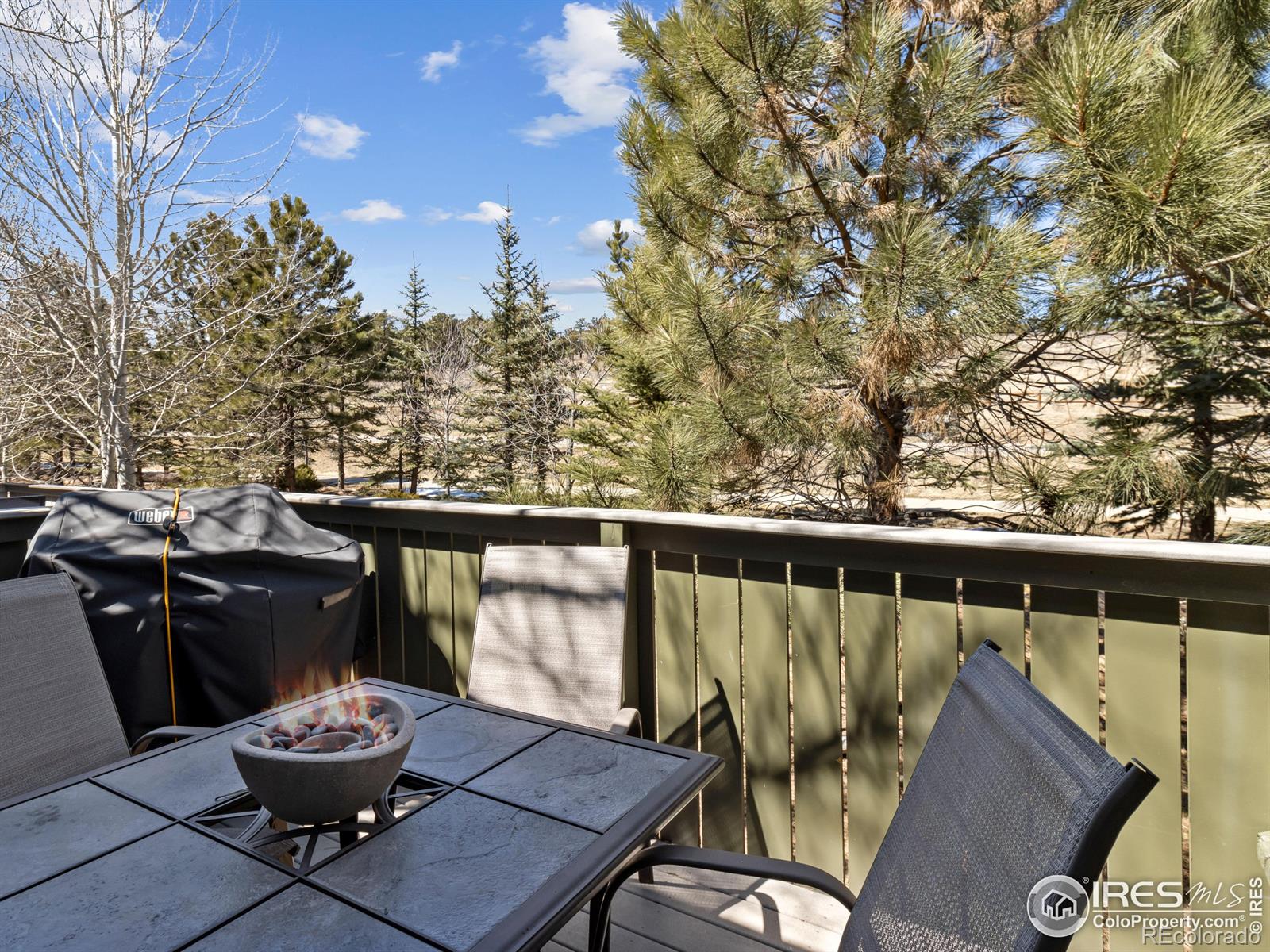 MLS Image #24 for 603  park river place,estes park, Colorado