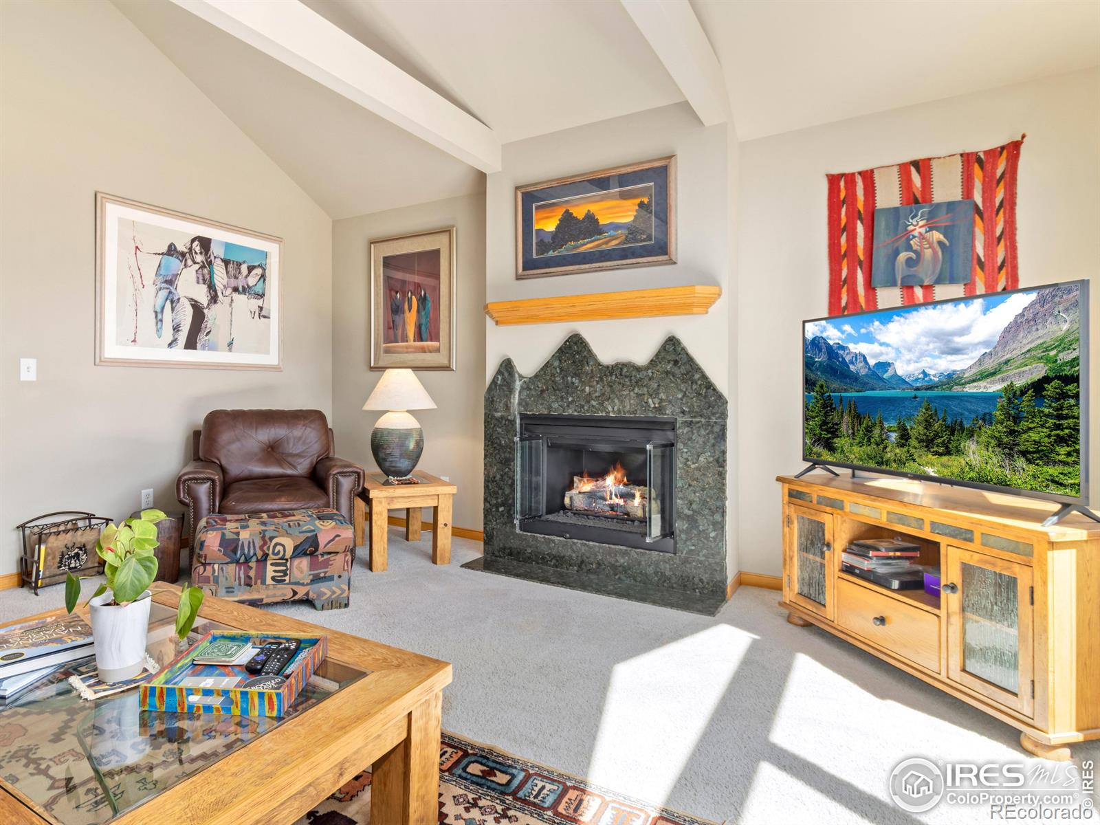 MLS Image #3 for 603  park river place,estes park, Colorado