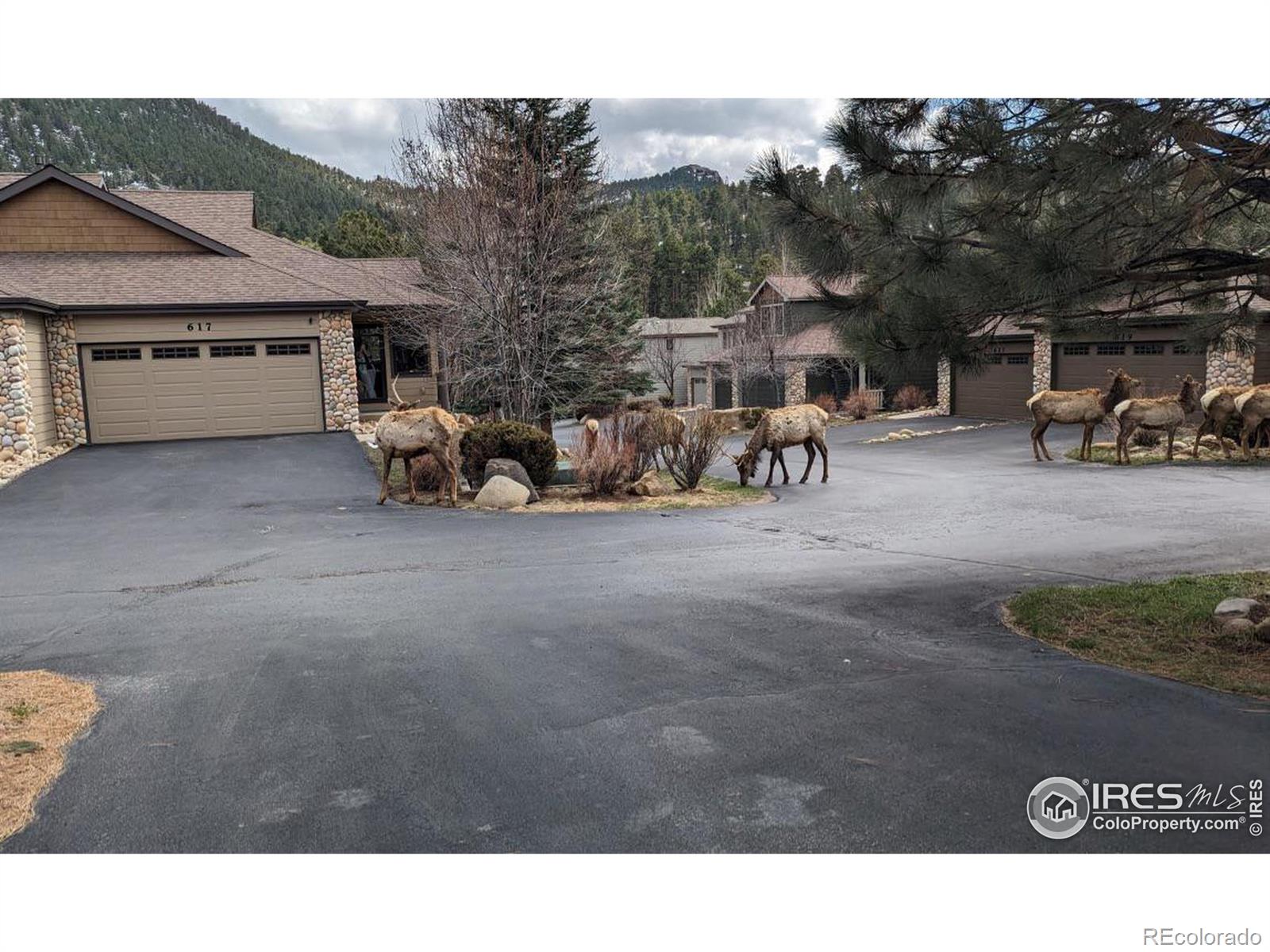 MLS Image #34 for 603  park river place,estes park, Colorado