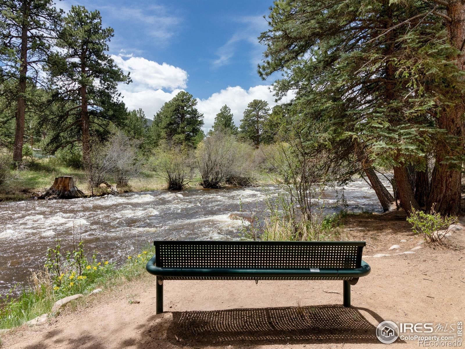 MLS Image #38 for 603  park river place,estes park, Colorado