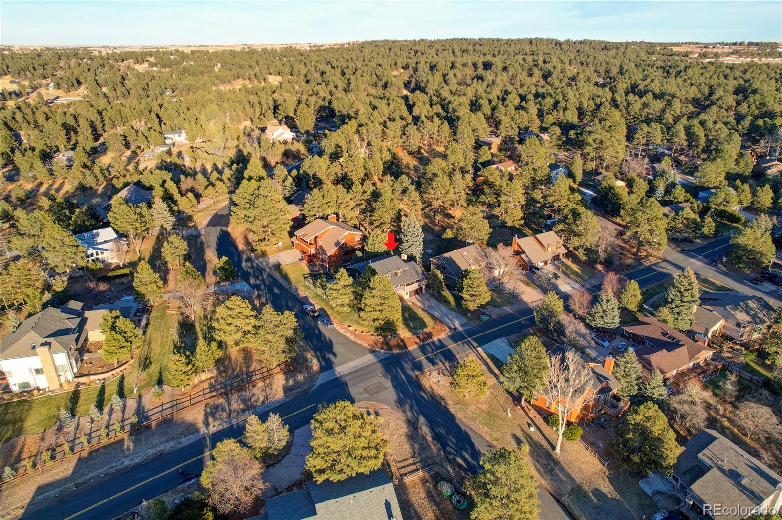 MLS Image #41 for 6104  ponderosa way,parker, Colorado