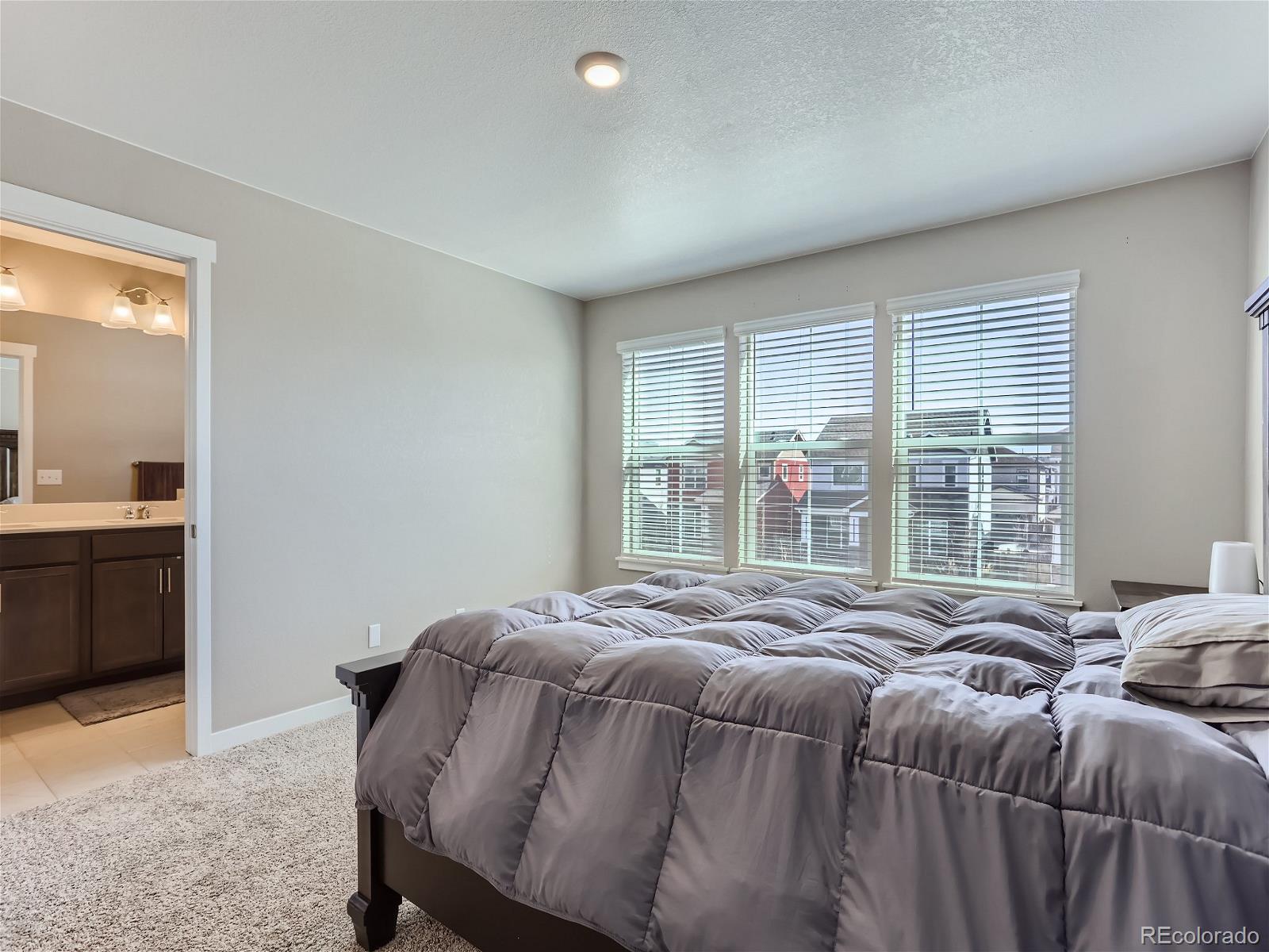 MLS Image #11 for 21813 e 8th avenue,aurora, Colorado