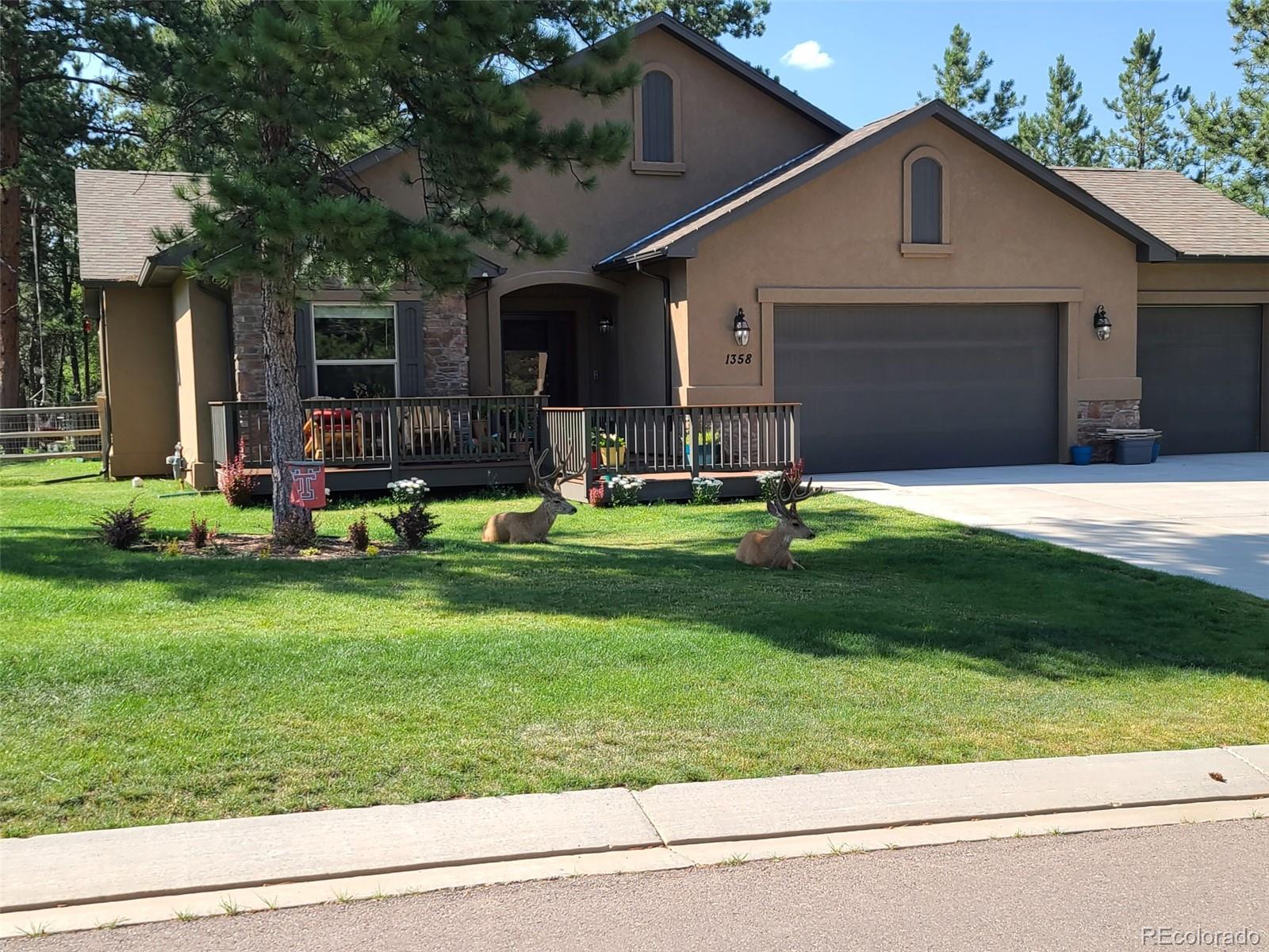 MLS Image #39 for 1358  ridgestone drive,woodland park, Colorado