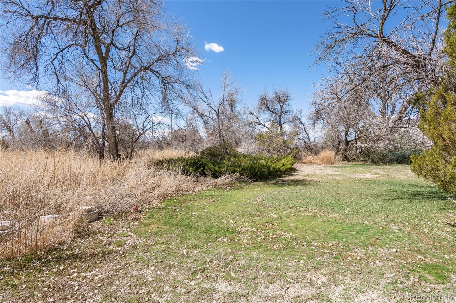 MLS Image #16 for 16380  yosemite street,brighton, Colorado