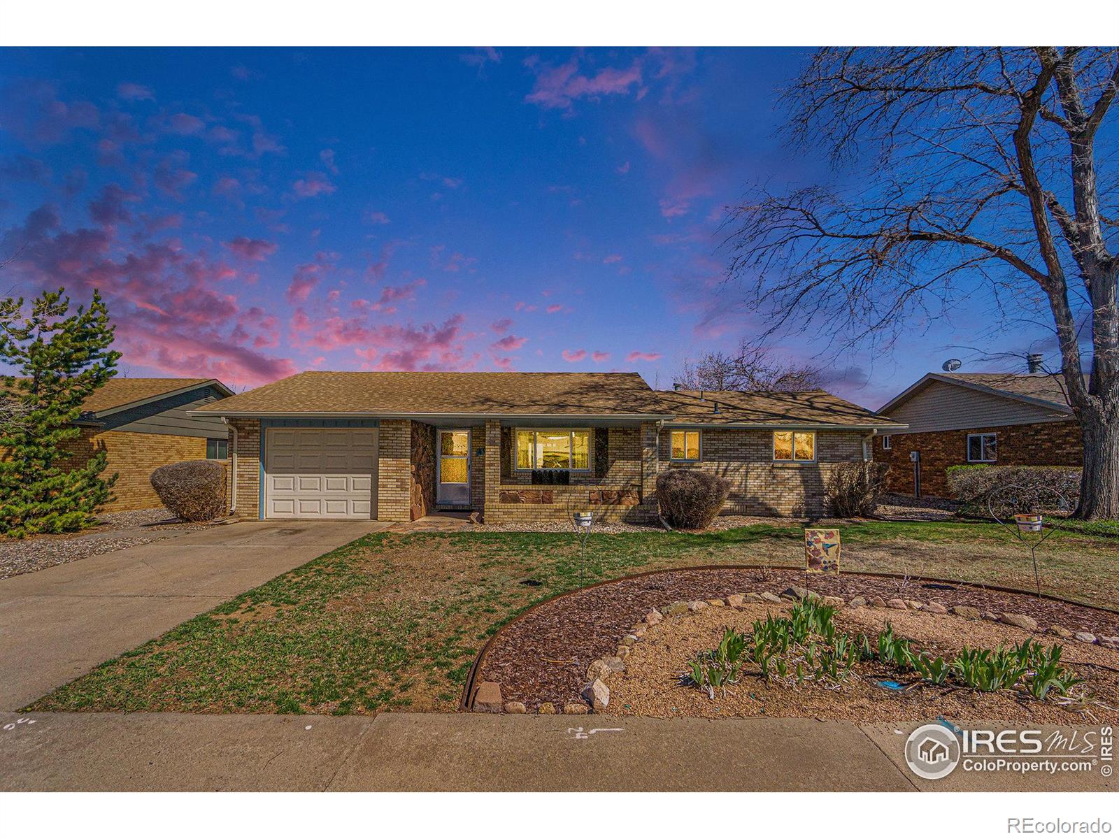 Report Image for 409  Knotty Place,Loveland, Colorado