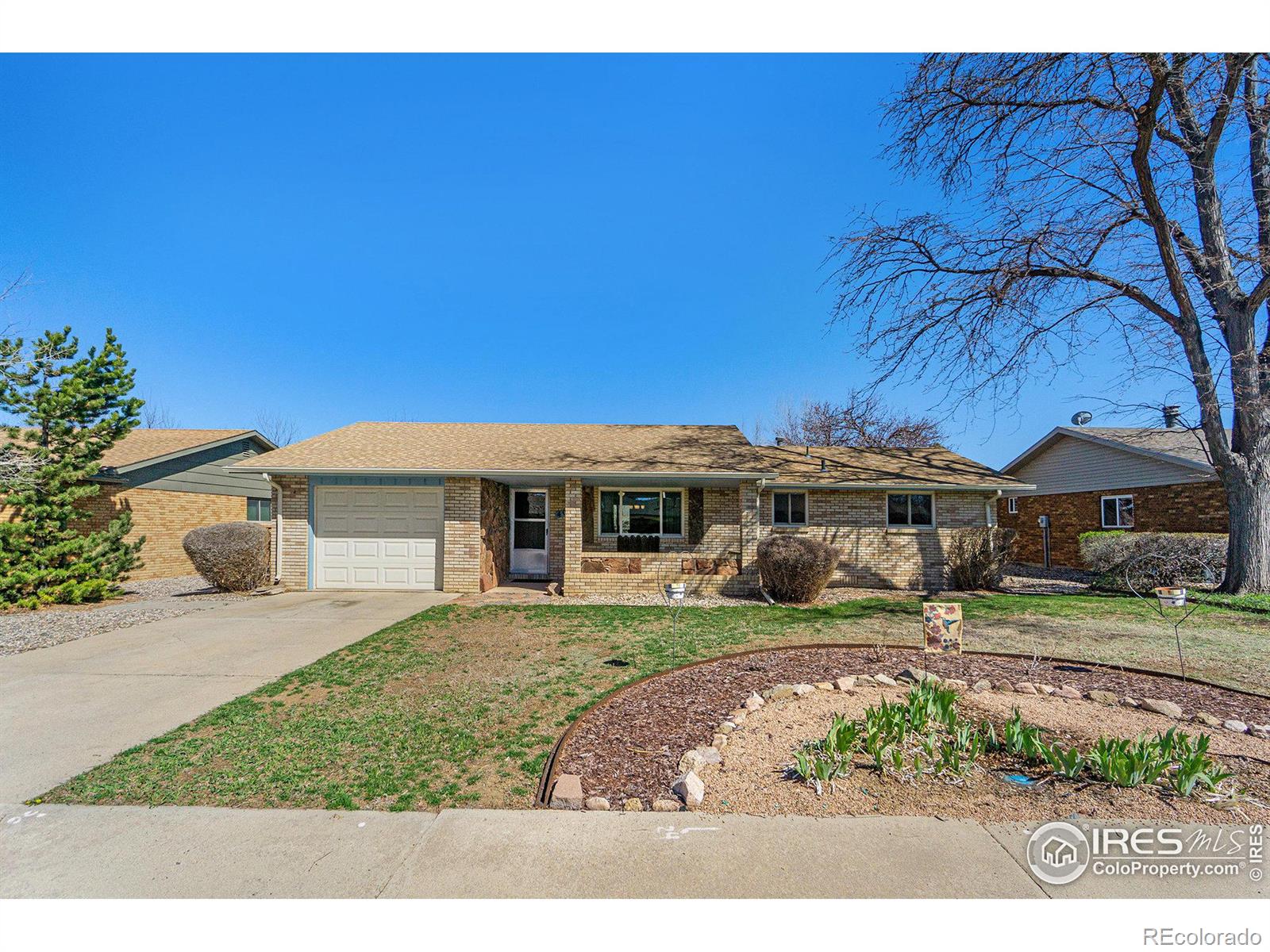 MLS Image #2 for 409  knotty place,loveland, Colorado