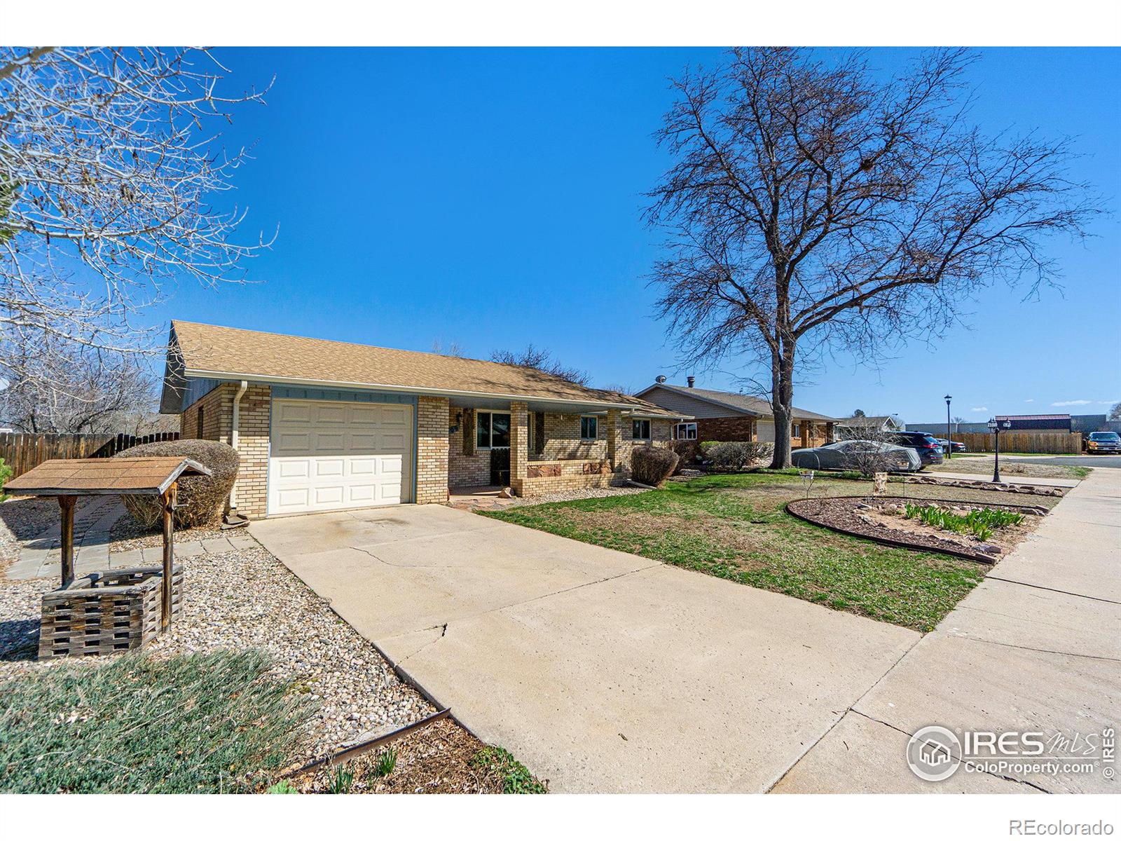 MLS Image #5 for 409  knotty place,loveland, Colorado