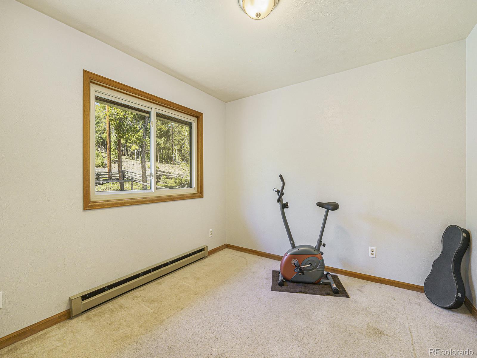 MLS Image #14 for 9562  corsair drive,conifer, Colorado