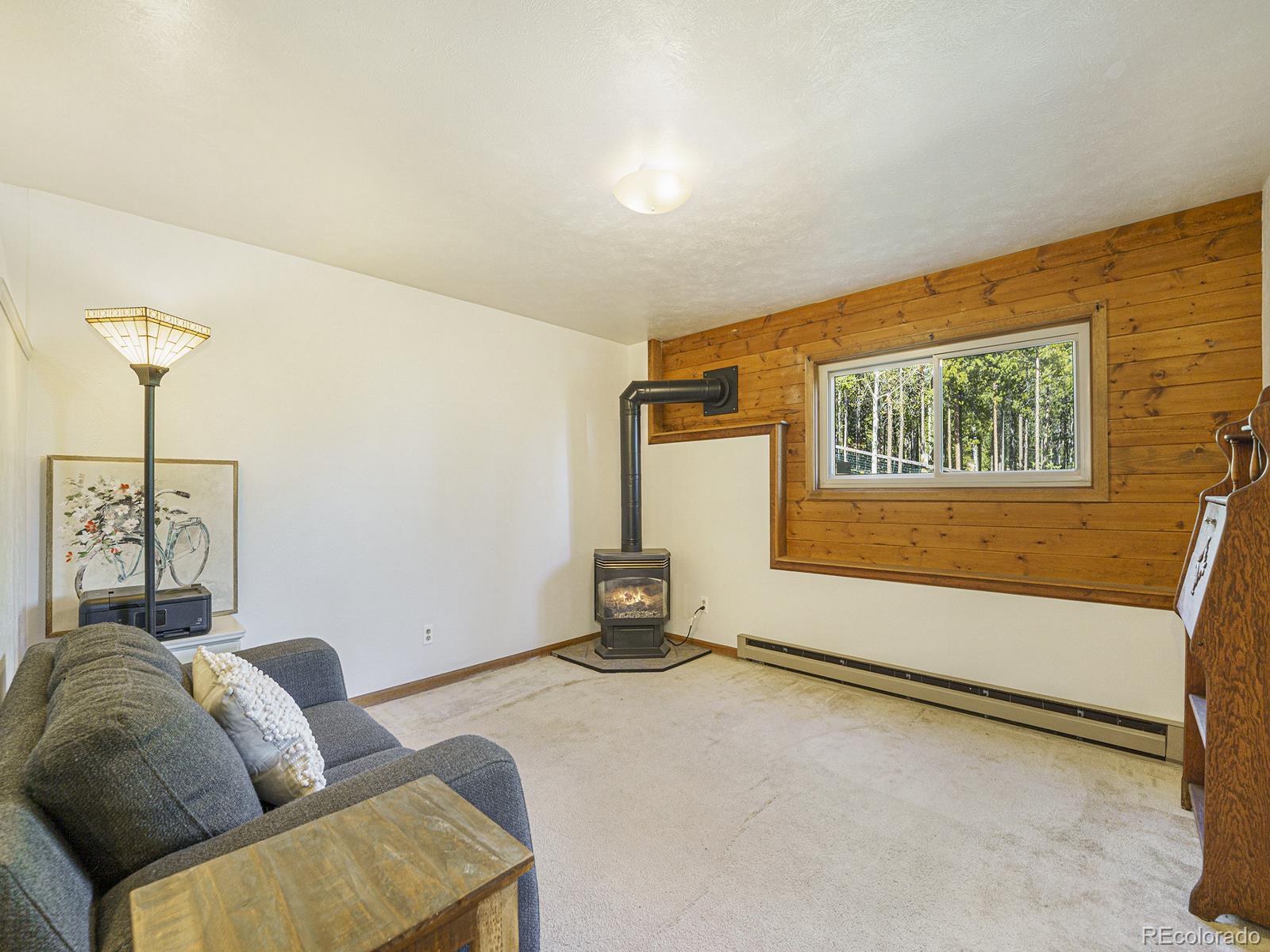 MLS Image #16 for 9562  corsair drive,conifer, Colorado